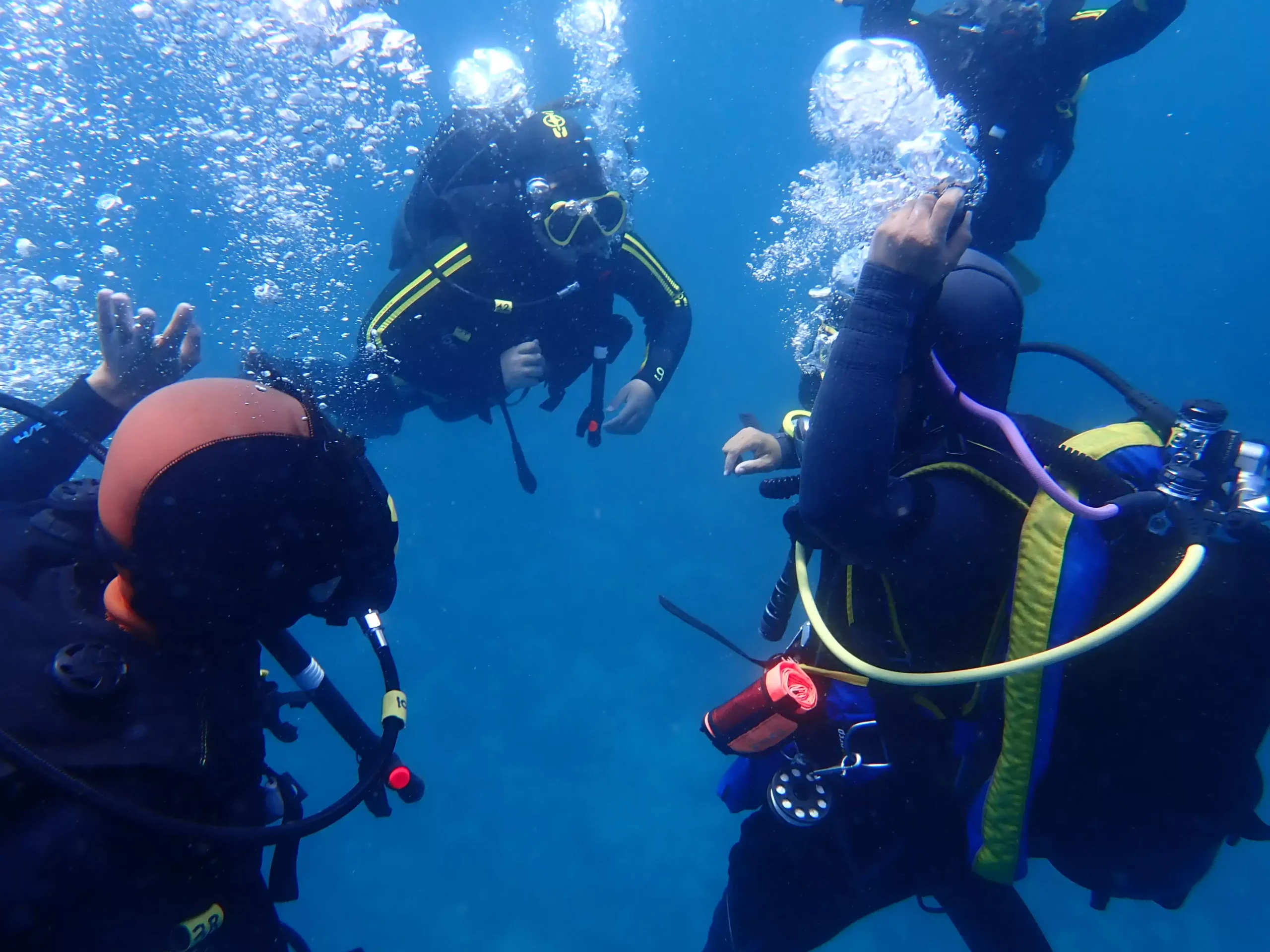 Un groupe de quatres plongeurs équipé sous l'eau