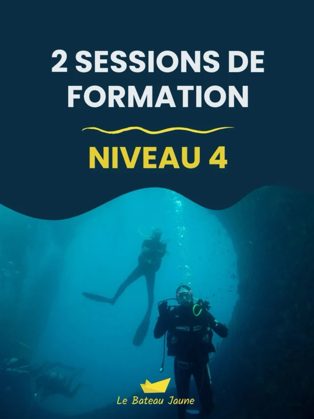 Envie de devenir guide de palanquée en association ou de participer à la formation DEJEPS ? 🧜‍♀️🧜🏼  Viens participer à la formation niveau 4 !
Cette année nous ouvrons deux sessions :  👉 du 1er au 12 juin inclus (week-end libre)
👉 du 31 août au 10 septembre inclus (week-end libre)  Tarifs :
à partir de 1190€ formation + examens
à partir de 450€ examens uniquement  Retrouve les objectifs, les prérequis et les informations complémentaires de la formation directement sur notre site internet : https://www.lebateaujaune.com/formations-professionnelles-niveau-4/  Et pour + d’infos contacte-nous ! 😉  ☎️ 06 14 31 00 93
📨 accueil@lebateaujaune.com  #niveau4 #formation #dejeps #plongéesousmarine🐟🐙🐠🐡🐚 #marseille