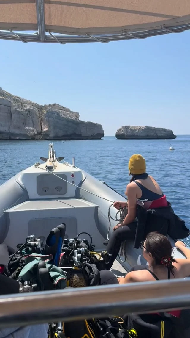 Le Bateau Jaune en vadrouille ⛵️
Toujours un plaisir de partir à la découverte des fonds marins ensemble 👌🤝  #plongeesousmarine #marseille #parcnationaldescalanques #vieuxportmarseille #diving