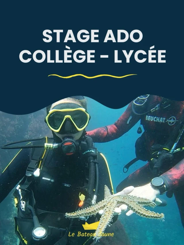 STAGE ADO 🤘🫧
Le stage plongée spécial pour ado est de retour cette saison pour deux sessions :
👉 Du lundi 22 au vendredi 26 juin > spécial collège
👉 Du lundi 29 juin au 3 juillet > spécial collège et lycée
Rendez-vous tous les matins pour passer le plongeur d’or (-11 ans), le niveau 1 ou perfectionner son niveau 🎉  Ouvert également pour les baptêmes
💸Tarif préférentiel pour tous  Informations et réservations : 06 14 31 00 93  #plongee #marseille #vacances #calanques #vieuxport