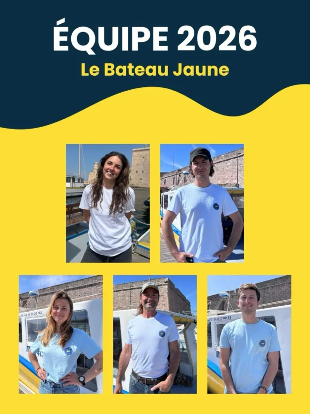 ✌️ EQUIPE 2026
Top départ, la saison 2026 est lancée et on a le plaisir de vous présenter l’équipe 2026 ! 🤩  Nous sommes prêts à vous accueillir, avec professionnalisme et une ambiance assurée, du quai jusqu’à bord et sous l’eau 😎  Alors vous en reconnaissez ?
Et d’autres arrivent… 🤫  #marseille #plongeesousmarine #2026 #diving