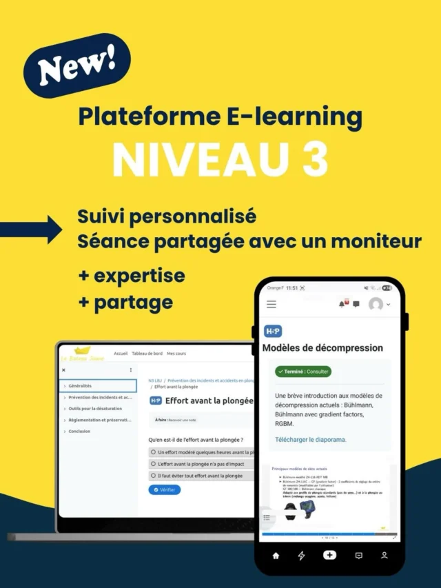 Tu souhaites devenir autonome à 60m ?
Passe ton niveau 3 🤩 avec en nouveauté au Bateau Jaune : une plateforme e-learning de formation niveau 3 disponible !  👉 Dans cette toute nouvelle formule, découvre :
- un e-learning pour assurer un suivi personnalisé mis en place par notre équipe 👀
- une session de partage d’expérience avec un moniteur qui te donnera toutes les clés pour planifier des plongées avec décompression 🤝  Et toujours 10 plongées de formation dans le Parc National des Calanques 🫧🫧  💸 à partir de 825€, si titulaire du PA40 à partir de 305€  Partant ?
☎️ Contacte-nous pour + d’infos : 06 14 31 00 93