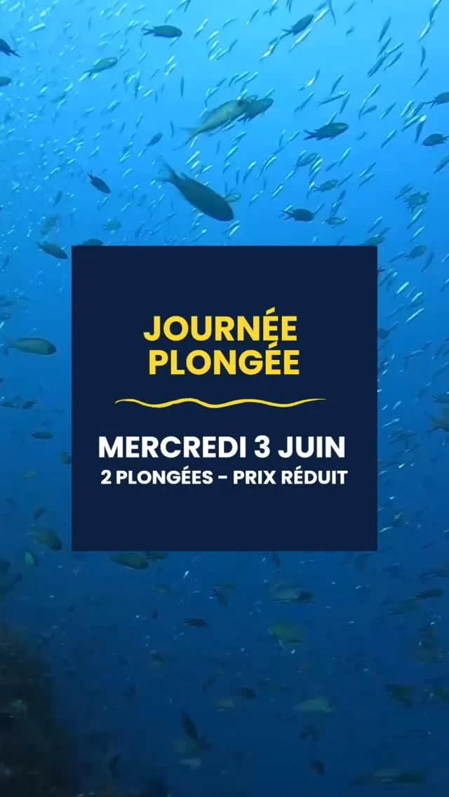 🤿 SORTIE JOURNÉE 💛
Le mercredi 3 juin on vous donne rendez-vous pour deux plongées sur une journée !  👉 Rendez-vous à 9h
👉 2 plongées sur une même sortie
👉 à prix réduit !  Venez profiter avec nous des beaux sites de plongées que nous offre Marseille toute la journée ! 🫧🤩  💸 à partir de 80€ la journée (selon encadrement et matériel)  N’hésitez pas à nous contacter pour + d’infos !
☎️ 06 14 31 00 93
✉️ accueil@lebateaujaune.com  #marseille #plongeesousmarine #parcnationaldescalanques #diving #exploration