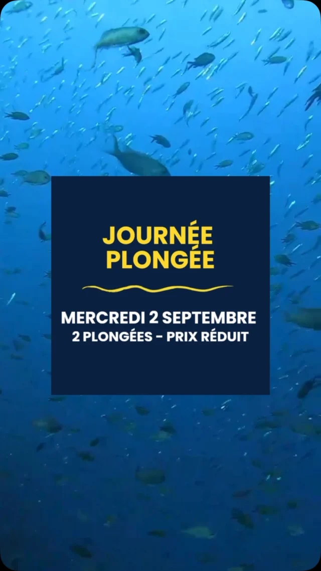 ⛵️ MERCREDI 2 SEPTEMBRE ⛵️
Rejoins nous le 2 septembre pour une journée bateau dans le Parc National des Calanques et partir pour 2 plongées ! 🤩☀️  👉 RDV à 8h30 au 1 quai Marcel Pagnol
Retour vers 15h, pensez à prendre un casse croûte sur le bateau 😉  💸 Tarif réduit : -10% sur les 2 plongées  Alors qui vient ? Identifie ton binôme 🫧🐠
Sortie ouverte aux encadrés !!
(Et sous réserve des conditions météo)  📞 Pour réserver, contacte nous : 06 14 31 00 93